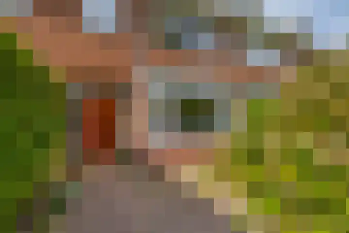 Veldhorststraat 12 Lisse thumbnail 4