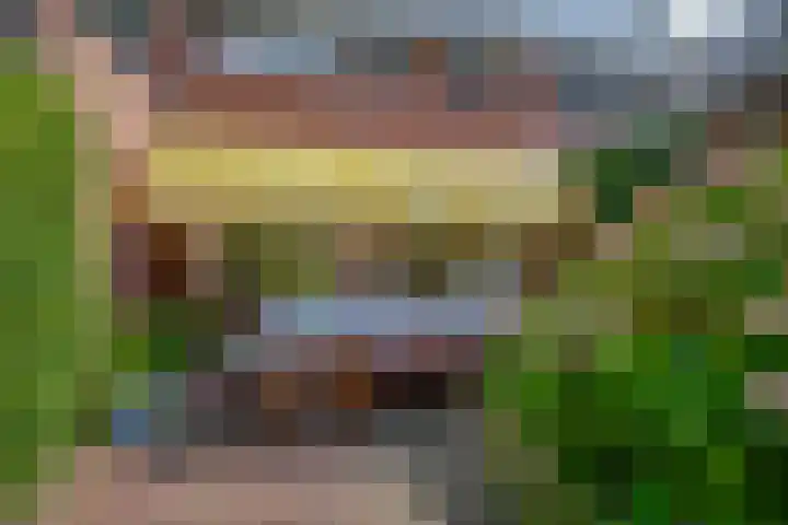 Veldhorststraat 12 Lisse thumbnail 40