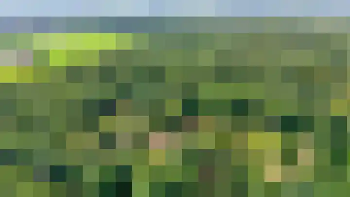 Veldhorststraat 12 Lisse thumbnail 49