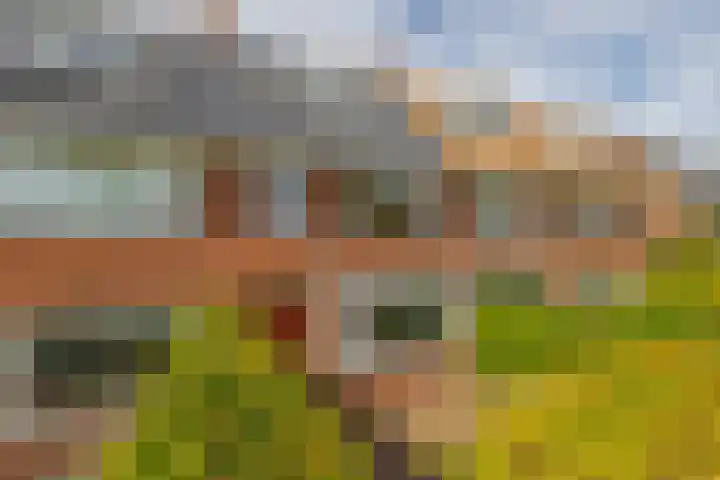 Veldhorststraat 12 Lisse thumbnail 50
