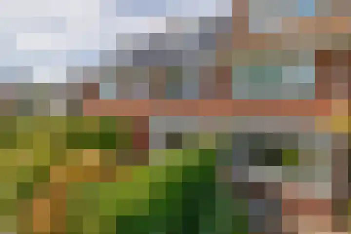 Veldhorststraat 12 Lisse thumbnail 51