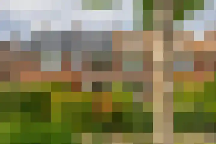 Veldhorststraat 12 Lisse thumbnail 65