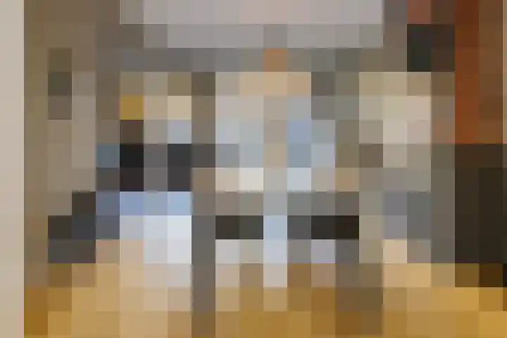 Veldhorststraat 21 Lisse thumbnail 17