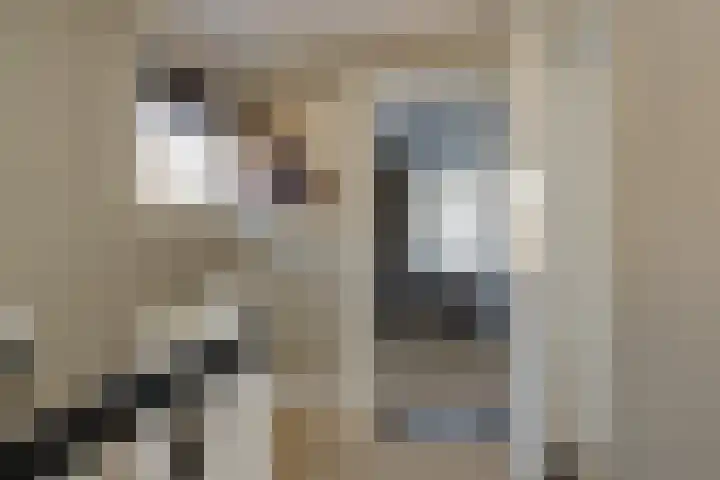 Veldhorststraat 21 Lisse thumbnail 29