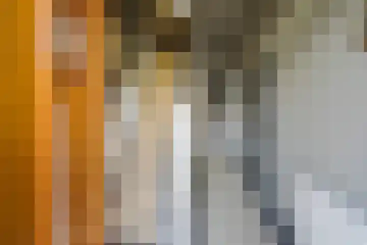 Veldhorststraat 21 Lisse thumbnail 7