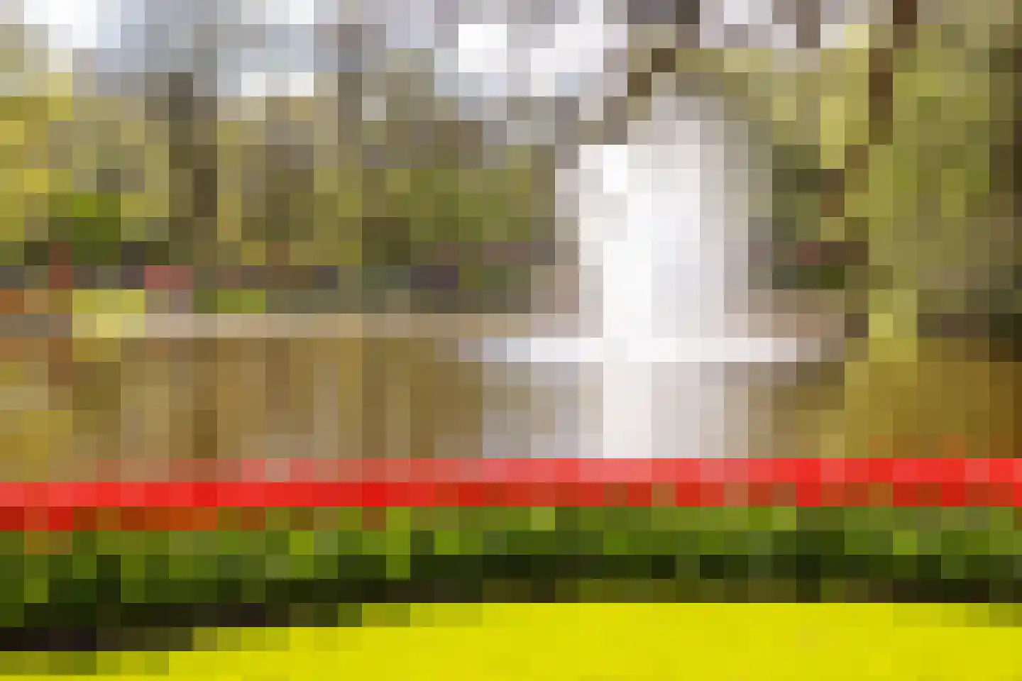 Veldhorststraat 27 Lisse thumbnail 33