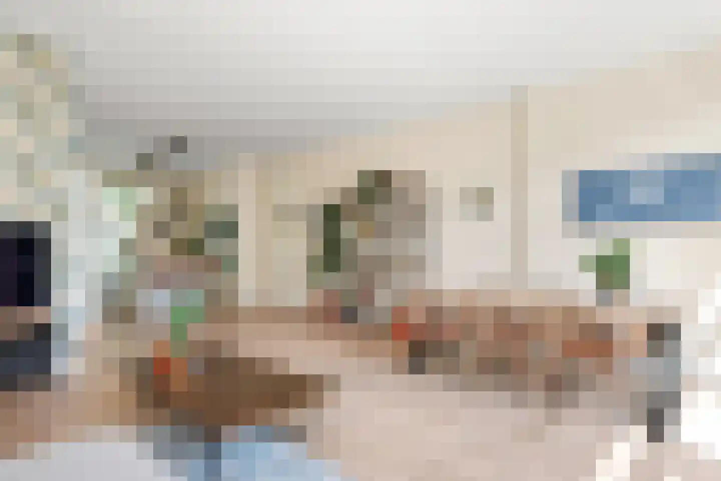 Veldhorststraat 27 Lisse thumbnail 6