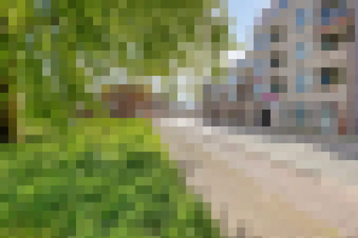 Veldhovenring 40 08 Tilburg thumbnail 9