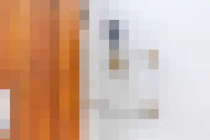 Veldhovenring 5 Tilburg thumbnail 17