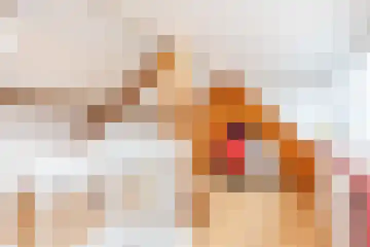 Veldhovenring 5 Tilburg thumbnail 29