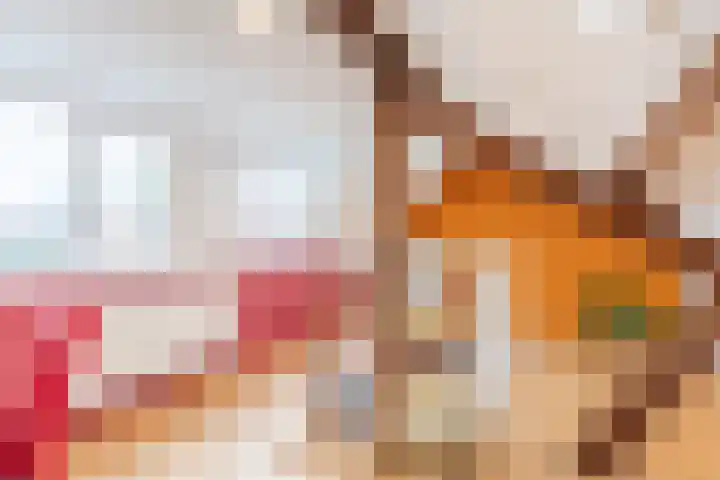 Veldhovenring 5 Tilburg thumbnail 30