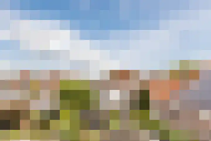 Veldhovenring 5 Tilburg thumbnail 31
