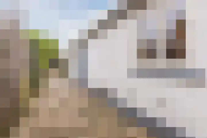 Veldhovenring 5 Tilburg thumbnail 32
