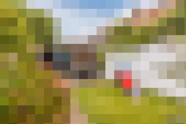 Veldhovenring 5 Tilburg thumbnail 33