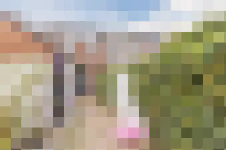 Veldhovenring 5 Tilburg thumbnail 36