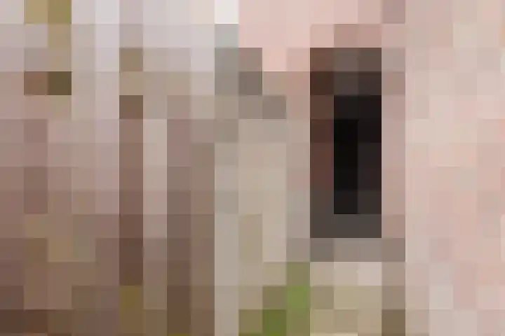 Veldhovenring 5 Tilburg thumbnail 37