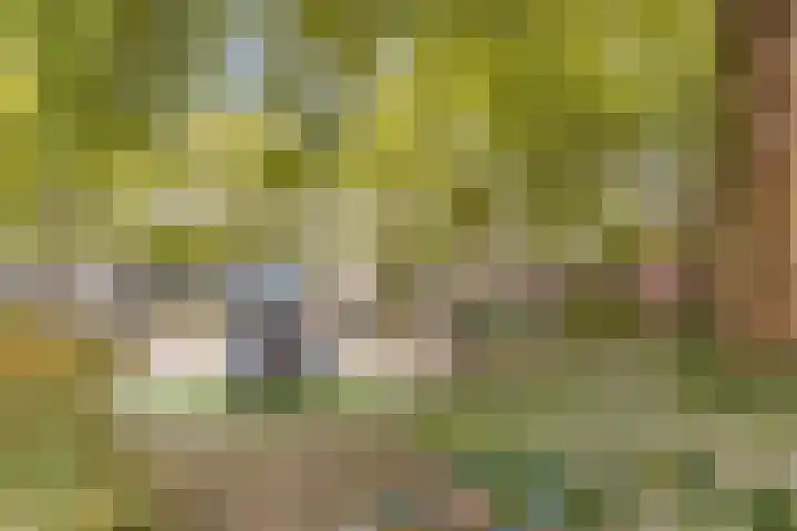 Veldhovenring 5 Tilburg thumbnail 40