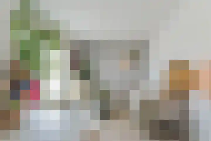 Veldhovenring 64 13 Tilburg thumbnail 7