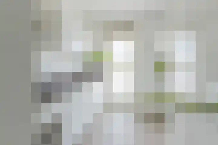 Veldhovenring 64 13 Tilburg thumbnail 9