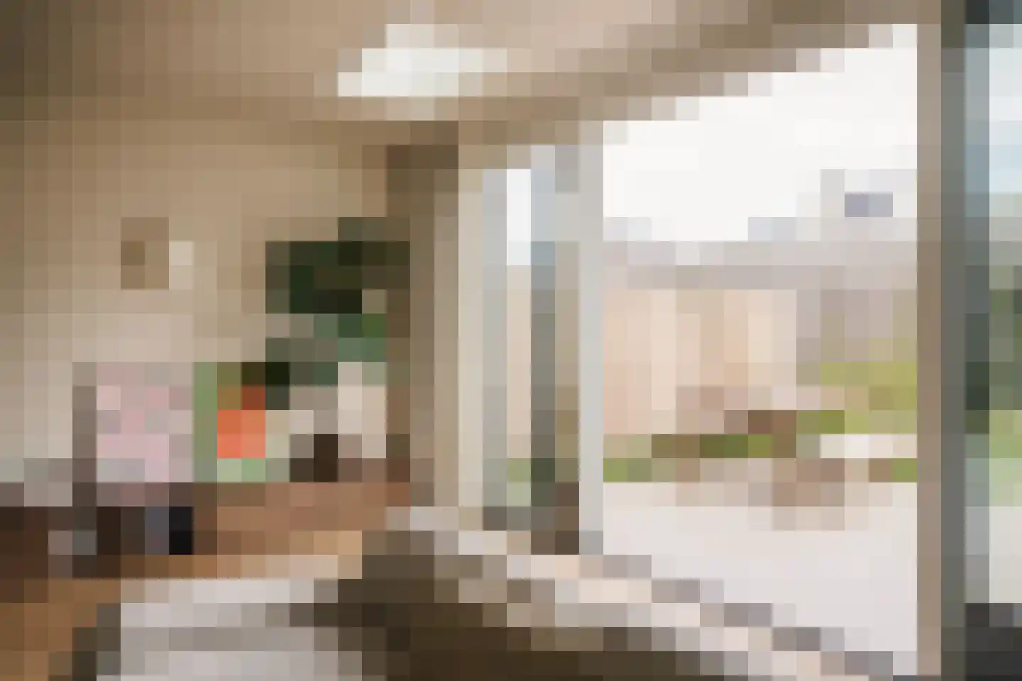 Veldhuishof Noord 1 Weesp thumbnail 11