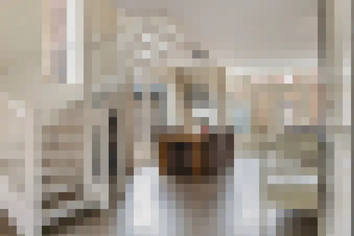 Veldhuisstraat 15 Apeldoorn thumbnail 19