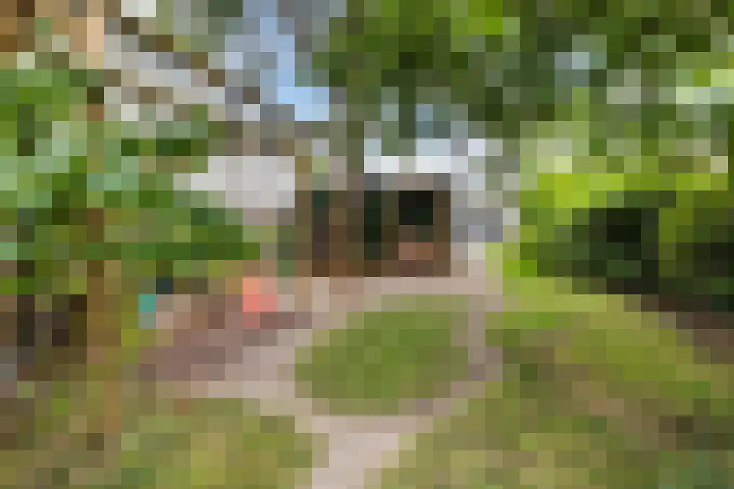 Veldhuisstraat 24 Apeldoorn thumbnail 38