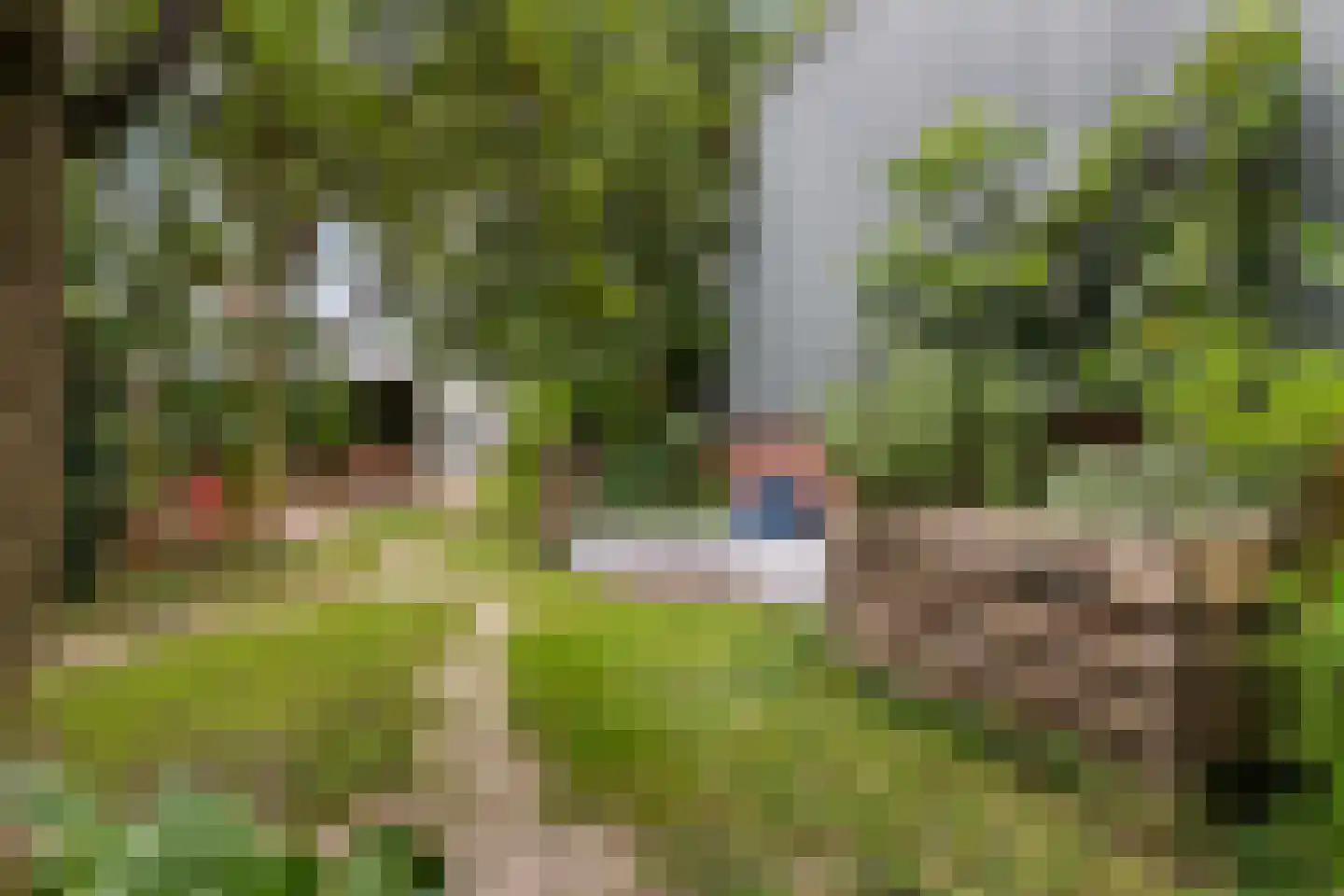 Veldhuisstraat 24 Apeldoorn thumbnail 39