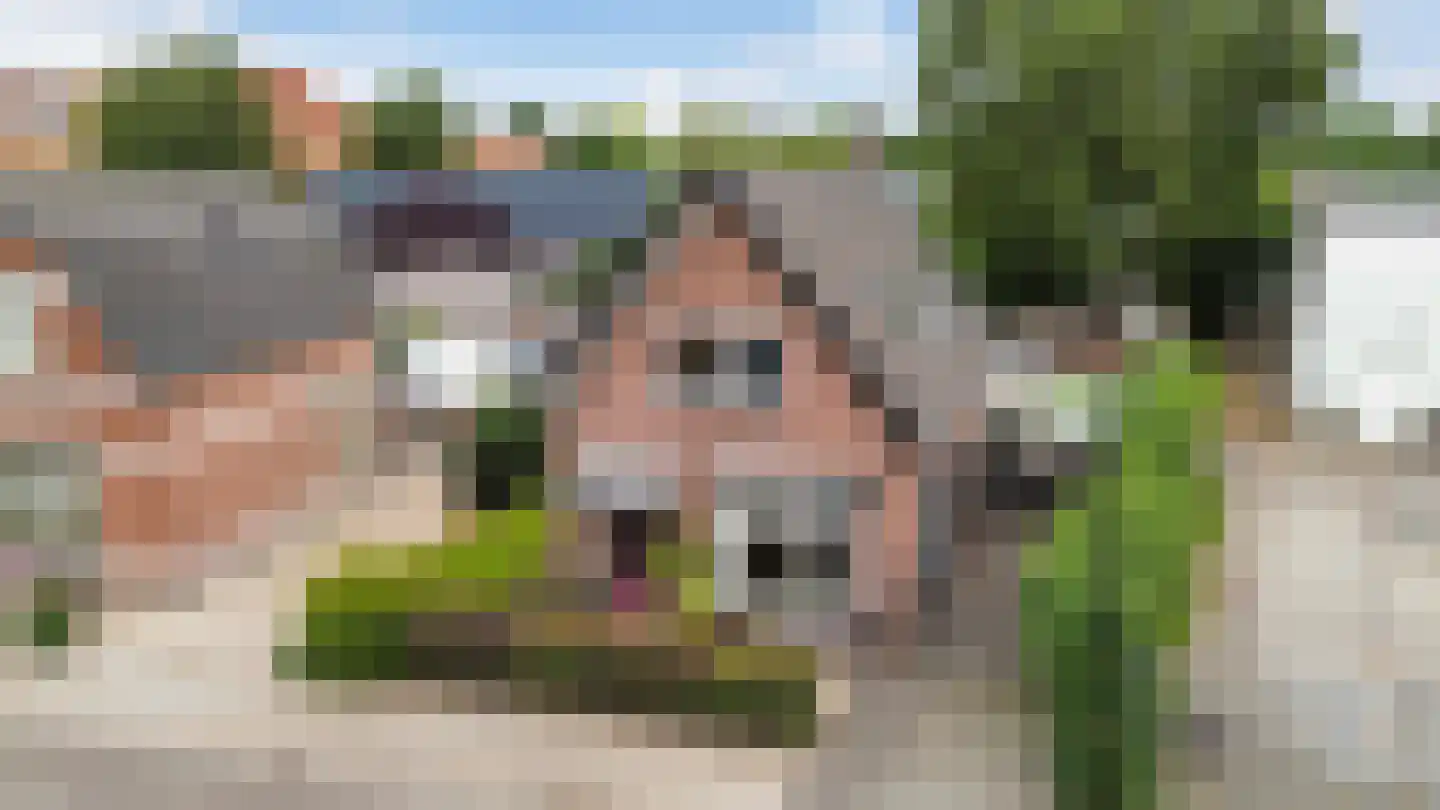 Veldhuisstraat 24 Apeldoorn thumbnail 54