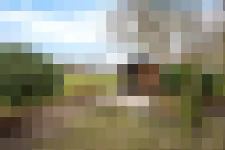 Veldhuisweg 1 66 IJhorst thumbnail 22