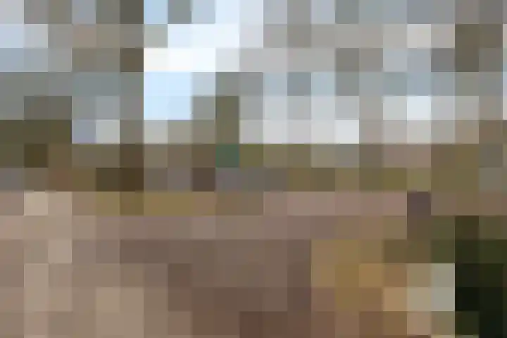 Veldhuisweg 1 66 IJhorst thumbnail 31