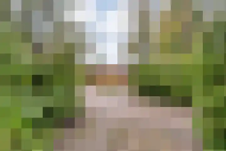 Veldhuisweg 1 67 IJhorst thumbnail 20