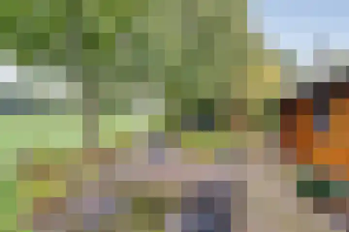 Veldhuisweg 1 67 IJhorst thumbnail 26