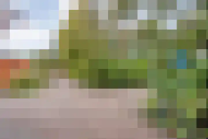 Veldhuisweg 1 67 IJhorst thumbnail 5