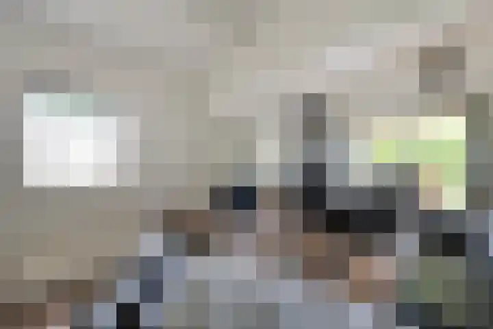 Veldhuisweg 1 67 IJhorst thumbnail 8
