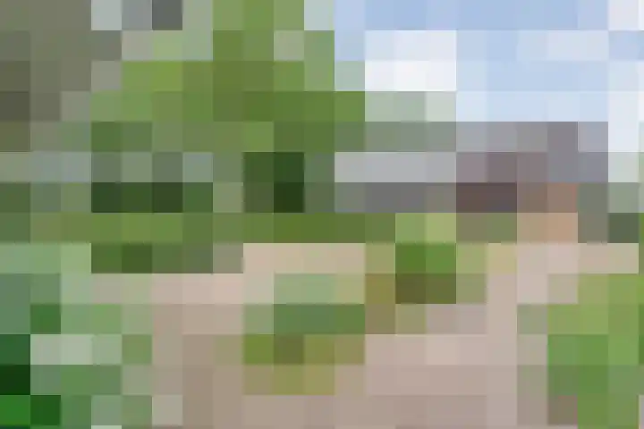 Veldhuisweg 1 a IJhorst thumbnail 11