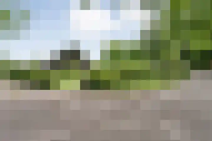 Veldhuisweg 1 a IJhorst thumbnail 4
