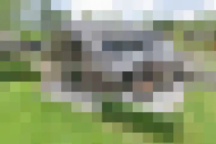 Veldhuisweg 1 a IJhorst thumbnail 5