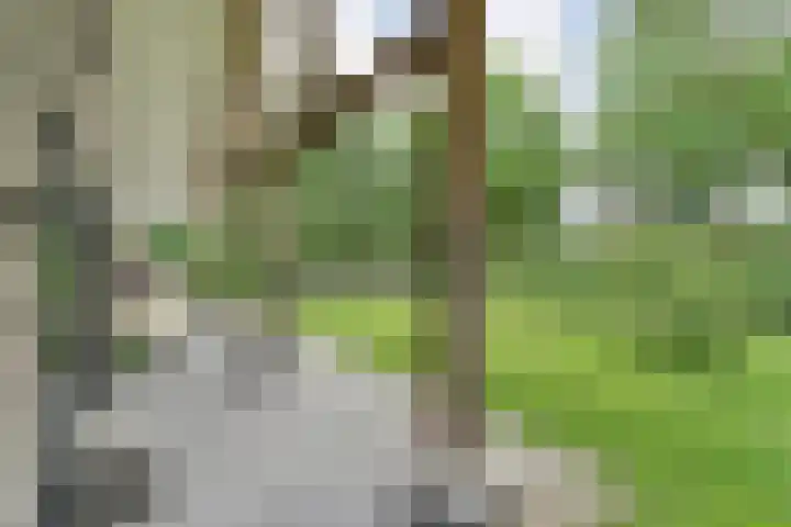 Veldhuisweg 1 a IJhorst thumbnail 54