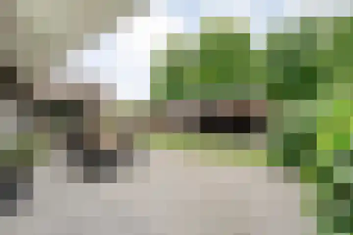 Veldhuisweg 1 a IJhorst thumbnail 58