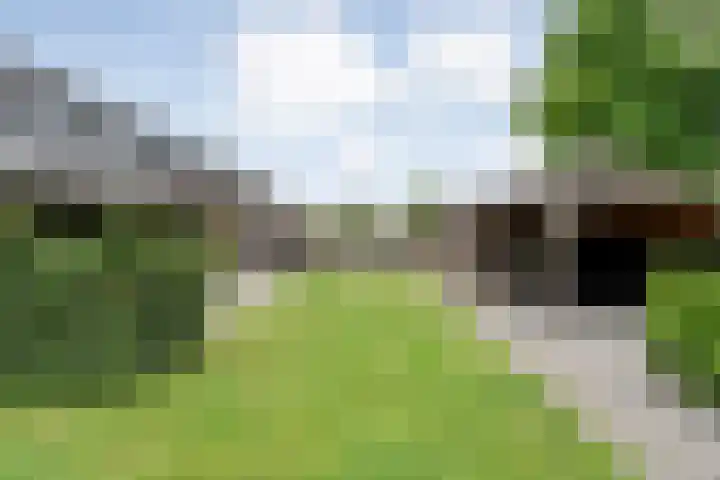 Veldhuisweg 1 a IJhorst thumbnail 60