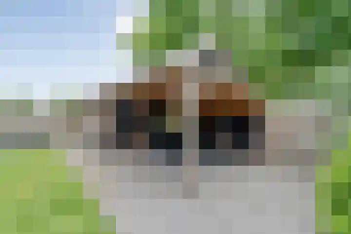 Veldhuisweg 1 a IJhorst thumbnail 61