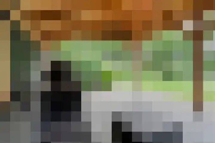 Veldhuisweg 1 a IJhorst thumbnail 63