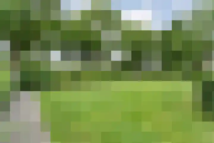 Veldhuisweg 1 a IJhorst thumbnail 67