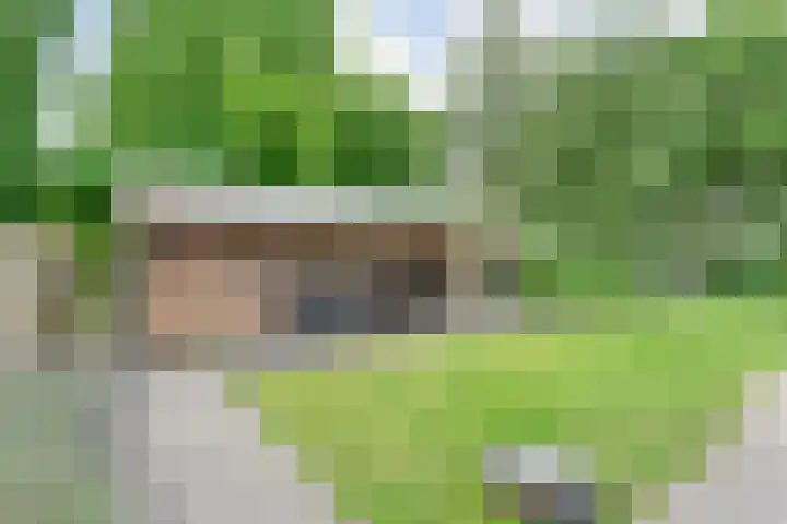 Veldhuisweg 1 a IJhorst thumbnail 68