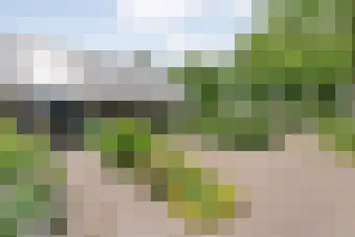 Veldhuisweg 1 a IJhorst thumbnail 7