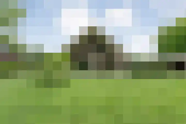 Veldhuisweg 1 a IJhorst thumbnail 71