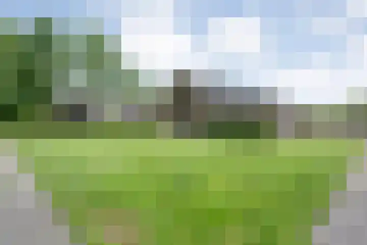 Veldhuisweg 1 a IJhorst thumbnail 72