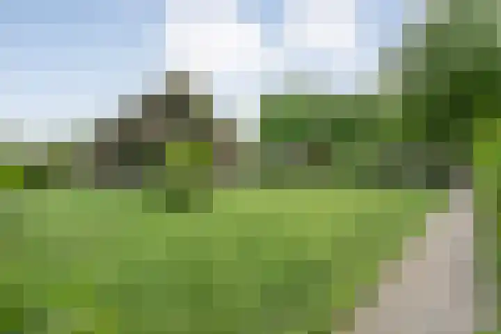 Veldhuisweg 1 a IJhorst thumbnail 73