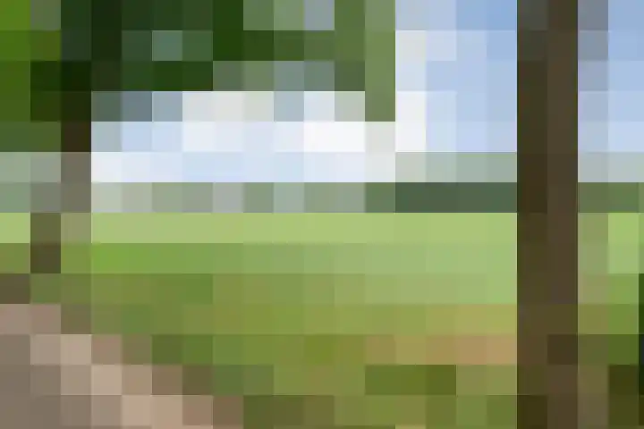 Veldhuisweg 1 a IJhorst thumbnail 74