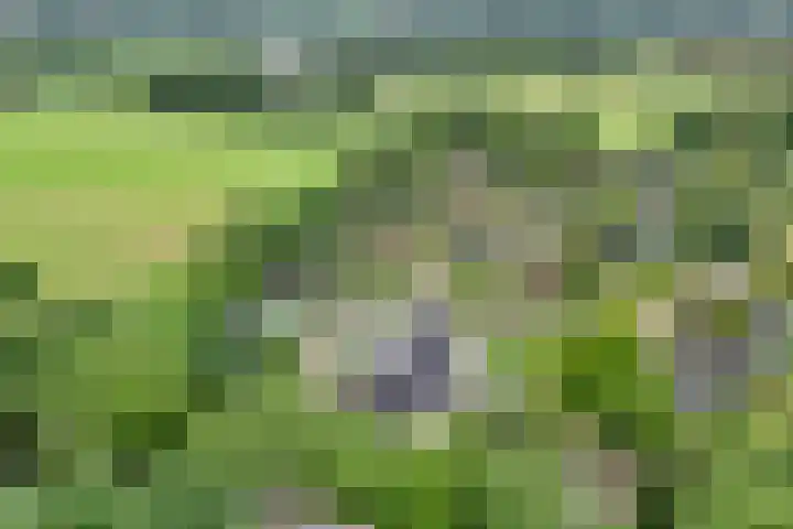 Veldhuisweg 1 a IJhorst thumbnail 75